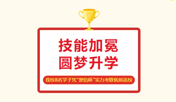 厉害了，我们的技能少年